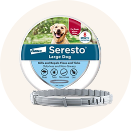 Seresto 8 month flea & tick prevention on sale collar